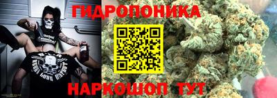 гашик Заводоуковск