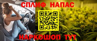 гашик Заводоуковск