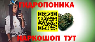 гашик Заводоуковск