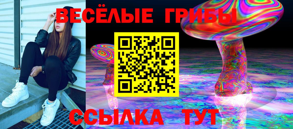 Междуреченск  Галлюциногенные грибы Cubensis  Вход с VPN  Галлюциногенные грибы MAGIC MUSHROOMS 