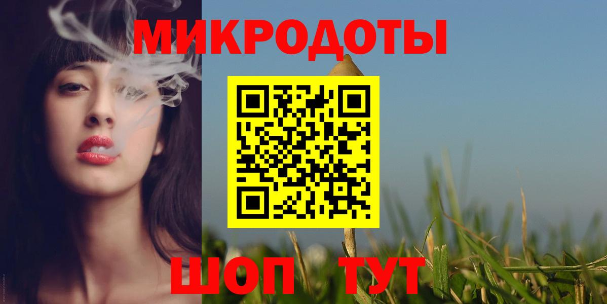 Галлюциногенные грибы Psilocybe Междуреченск
